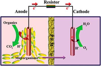 Advancements in Bioelectricity Generation Through Nanomaterial-Modified Anode Electrodes in Microbial Fuel Cells